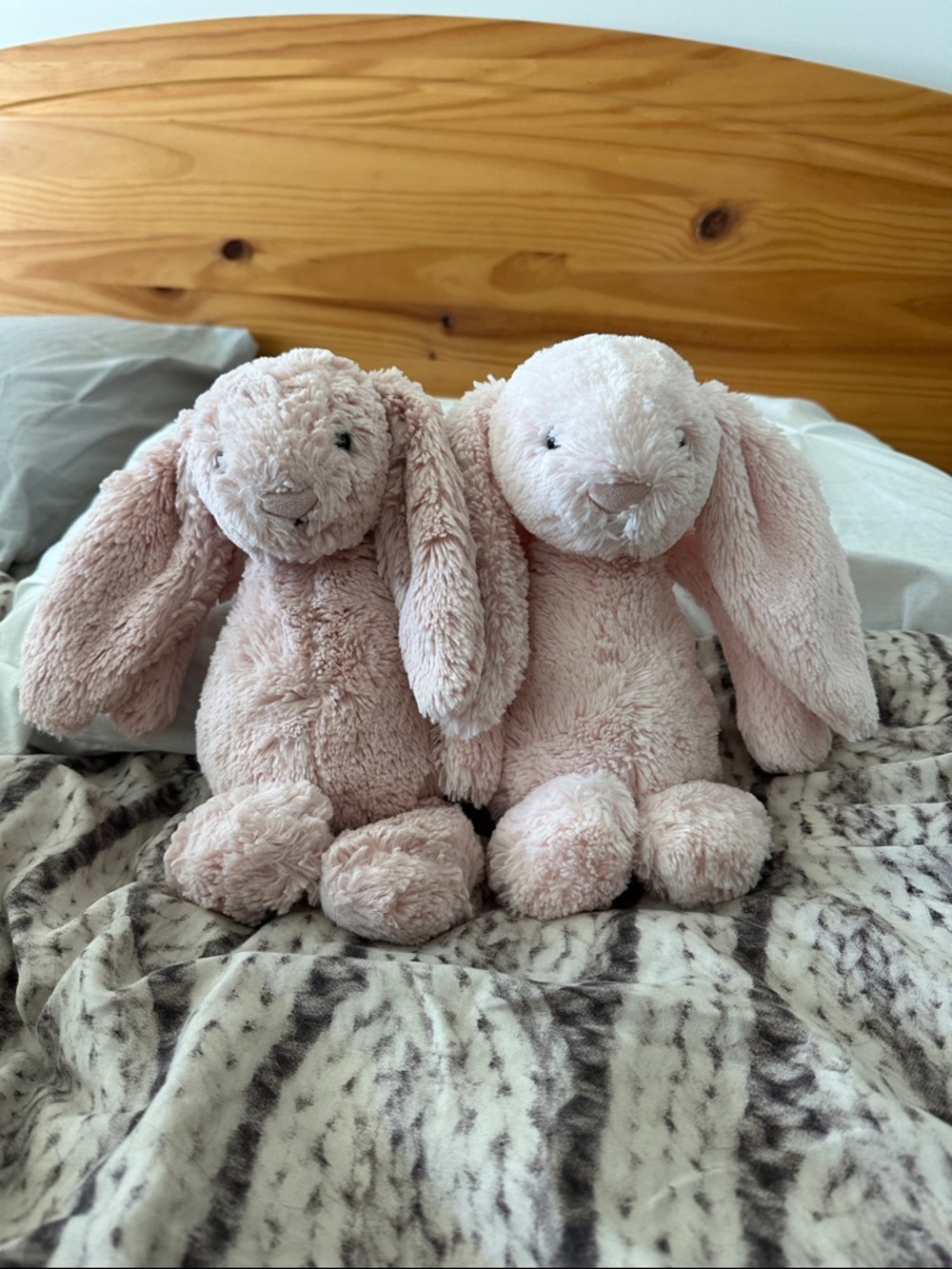 Jellycat Pink Bashful Bunny Plush Pair Medium